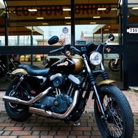 Harley-davidson Nightster XL 1200 N