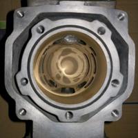 Gruppo termico Polini 160 Rotax 122 Aprilia rs 125