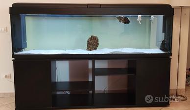 Acquario da 600 litri con mobile dedicato
