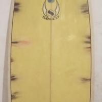 Tavola surf short 6.1