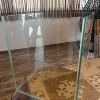 Acquario reef nanoreef refugium  taleario coralli