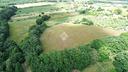 ter-agricolo-a-cerveteri