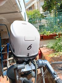 selva Oyster 6 cv 