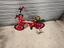 Immagine 1