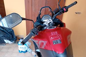 Triumph Tiger Sport 660 - 2025