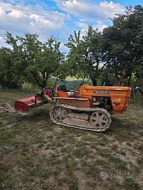 Trattore fiat 355 montagna