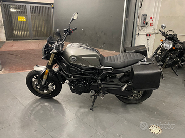 Leoncino Benelli 800