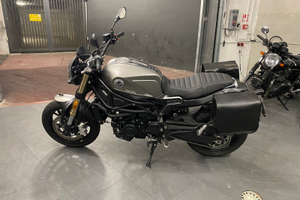 Leoncino Benelli 800