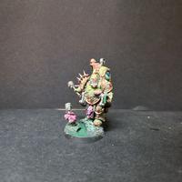 Warhammer 40k Foul Blightspawn pro-painted