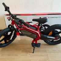BICICLETTA ELETTRICA DUCATI
