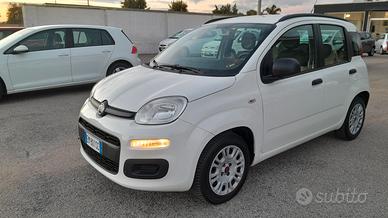 Fiat Panda cc 1.2 Benzina 