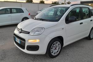 Fiat Panda cc 1.2 Benzina 