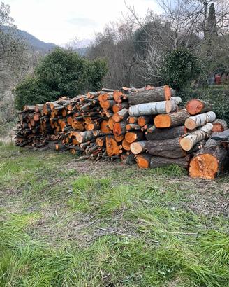 Legna da ardere