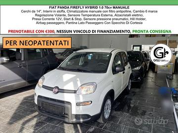 Fiat Panda 1.0 Hybrid 70cv Firefly Manuale C.14"