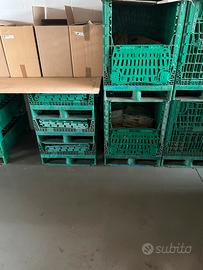 Ceste ripiegabili con ispezione