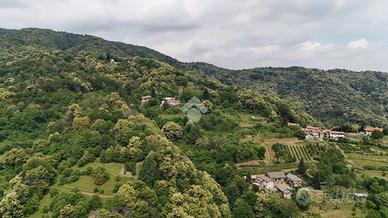 TER. AGRICOLO A BRONDELLO
