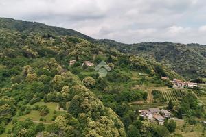 TER. AGRICOLO A BRONDELLO
