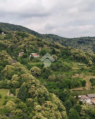 TER. AGRICOLO A BRONDELLO