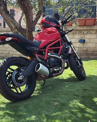 Ducati Monster 797