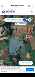 Terreno agricolo Mq. 16.070 Cesanese del Piglio