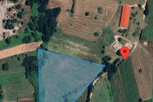 Terreno agricolo Mq. 16.070 Cesanese del Piglio