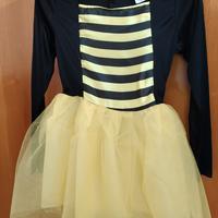 Vestitino di carnevale apetta.