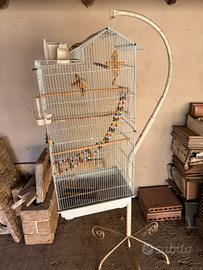 gabbia uccellini