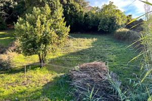 Arbus - Lotto di 463 mq