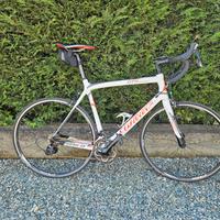 Bici da corsa Wilier GTR gran turismo carbonio XL