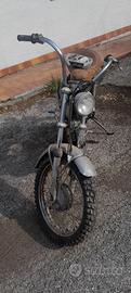 testi trail