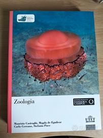 Libro di Zoologia