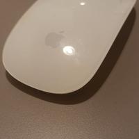 Apple magic mouse 