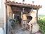 Immagine 15