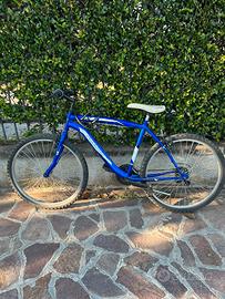 Mountain Bike Frejus 26"