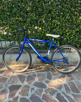 Mountain Bike Frejus 26"