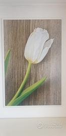 Quadro tulipano