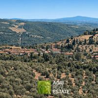Terreno agricolo con uliveto e vista sul Chianti