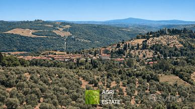 Terreno agricolo con uliveto e vista sul Chianti