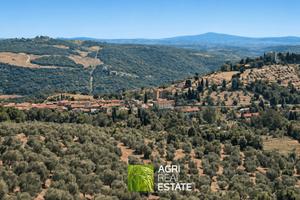 Terreno agricolo con uliveto e vista sul Chianti