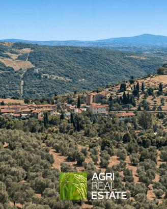 Terreno agricolo con uliveto e vista sul Chianti