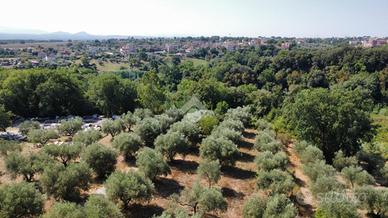 TER. AGRICOLO A FIANO ROMANO