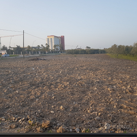 Terreno 25 000 mq fronte strada + uliveto