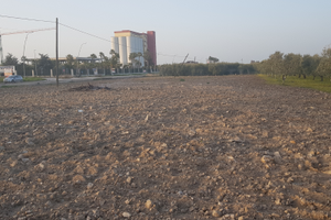 Terreno 25 000 mq fronte strada + uliveto