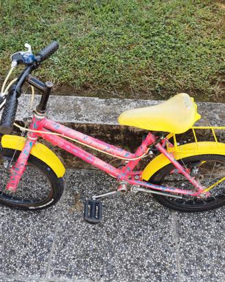 Bicicletta