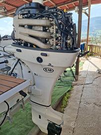 motore fuoribordo jhonson 4t