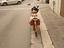 Immagine 2