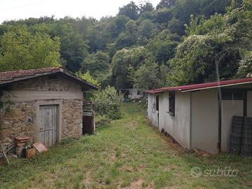 Terreno con Annessi Latera Barberino