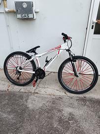 MTB dirt jumper/slopestyle