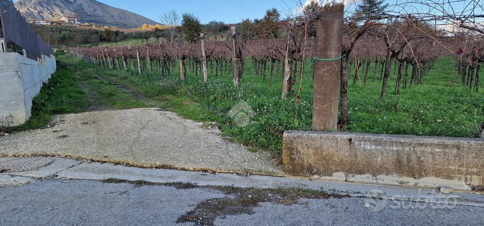 TER. AGRICOLO A FOGLIANISE - Vista 2