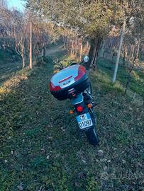 beta alp 200 4 tempi